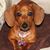 Bonnie Bauer's profile image