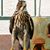 Sheldon K Feldman's profile image