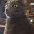 Charlotte Wilderman Roberts's profile image