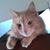 Marielco Baires's profile image