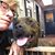 Lisa Gipe's profile image
