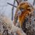 Areigna Marie's profile image