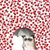 Kelvin Mok's profile image