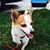 Catherine Pye-Mitchell's profile image