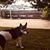 Susan Reardon's profile image