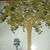 Denise Bifulco Krulish's profile image