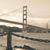 Sharon Redman-Blom's profile image
