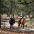 Michelle Switzer Eppinga's profile image