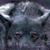 Robert Smith's profile image
