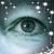 Cindy Brammer's profile image