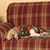 Peggy Lovell's profile image