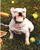 Sue W.'s profile image