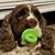 Teresa Ericksen Mathwig's profile image