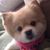 Kim Johnson's profile image