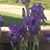 Mary Hojnacki's profile image
