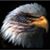 Jon Floyd's profile image