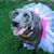 Tammy Leeth's profile image