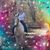 Denise Thompson Vincent's profile image