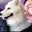 Dave Saunders's profile image