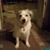 Denise L. Schaefer's profile image