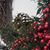 Lorraine St Clair's profile image