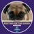 Doug Nichols's profile image