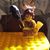 Carrie Brown's profile image