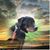 Vom Pantheon Haus's profile image
