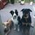 Eileen Neach's profile image