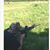 T.J. Kinnaman's profile image