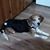 Sandy Spencer's profile image