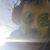 Gregorey Savieo's profile image