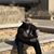 Gerald Darlington's profile image