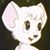 Kim Hawk's profile image