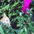 Marianne T Lo's profile image