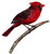 Mary H.'s profile image
