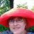 Debbie DiBattista's profile image