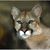 Richard Glade's profile image