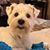 Cathy Brawner Reardon's profile image