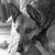 Lisa Coleman's profile image