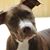 Lisa Deming's profile image