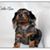 Ellen K. Meadows's profile image