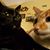 Rhonda Schrock's profile image