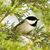 Phyllis Perry Foster's profile image