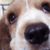 Val Strunk's profile image