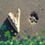 Lesa M. Leal's profile image