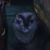 Jodie Marsh's profile image