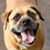 David B. Truhett's profile image