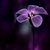 Alejandro Jando Giron's profile image