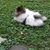 Diane Maxwell Shrock's profile image